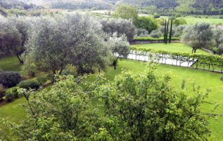 Giardino dall'alto