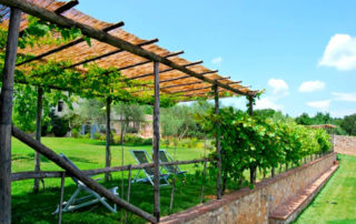 Pergola giardino